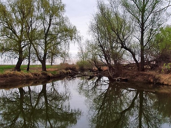 Изображение Тут живет старая слепая щука… Фото: Коломийца Алексея.