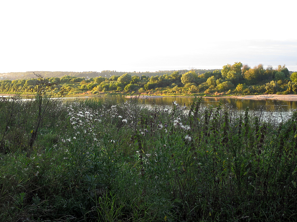 Изображение Фото Любови Астаповой 