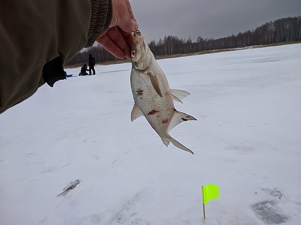 Изображение Фото: Трембицкого Алексея. 