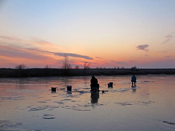Изображение Фото: Алексей Коломиец. 