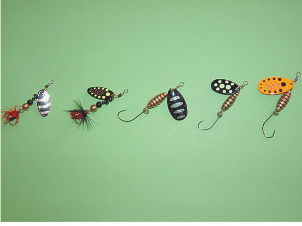 Изображение Фото: Токарева Александра. 