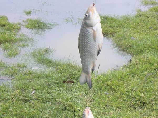 Изображение Фото: Анатолий Маилков.