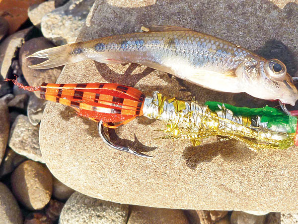 Изображение Размер щучьей приманки должен быть сравним с ее основным кормом. Фото: Смирнова Александра. 