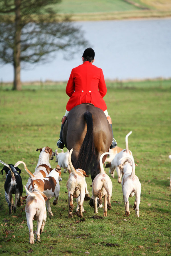 Изображение fotolia.com 