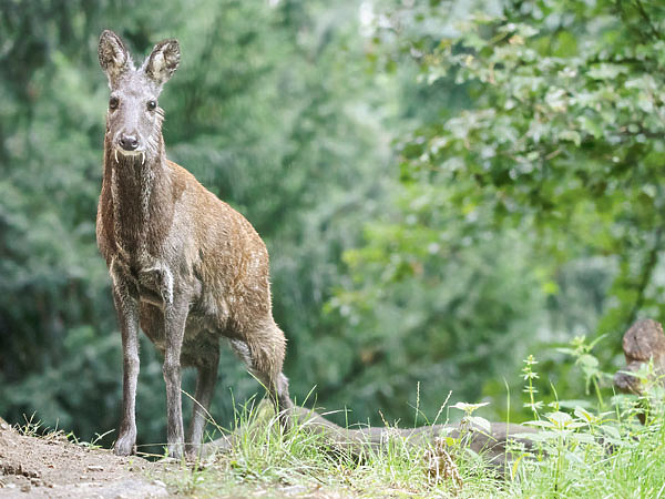 Изображение ФОТО: SHUTTERSTOCK