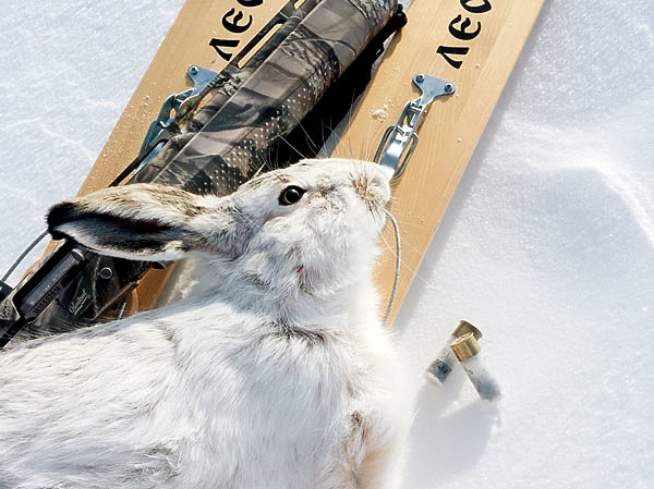 Изображение С опытом добыча трофея становится закономерностью. Фото автора. 