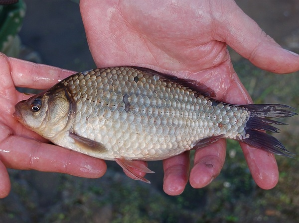 Изображение Фото: Яншевского Андрея. 