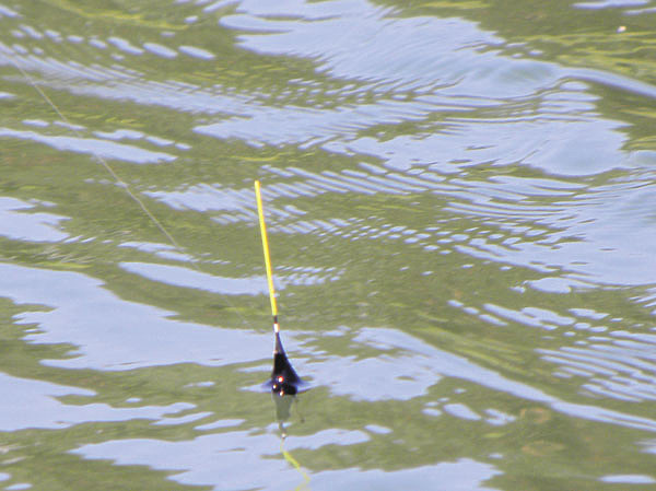 Изображение Фото: Маилкова Анатолия. 