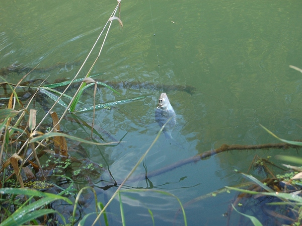 Изображение Фото: Яншевского Андрея.