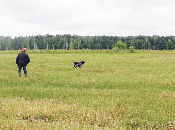 Изображение Фото Сергея ФОКИНА 