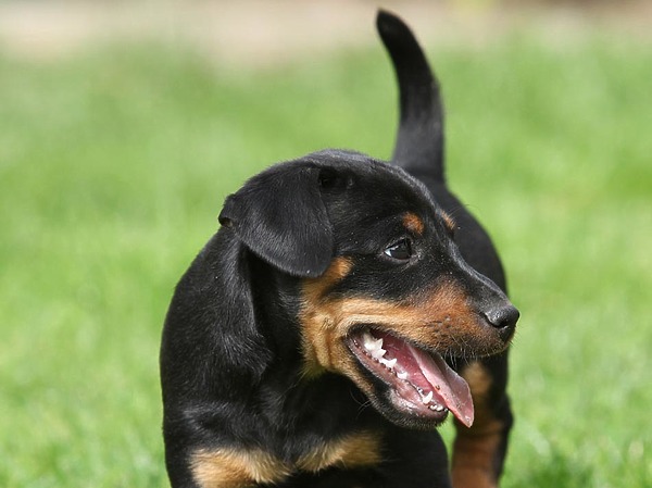 Изображение фото: Fotolia.com