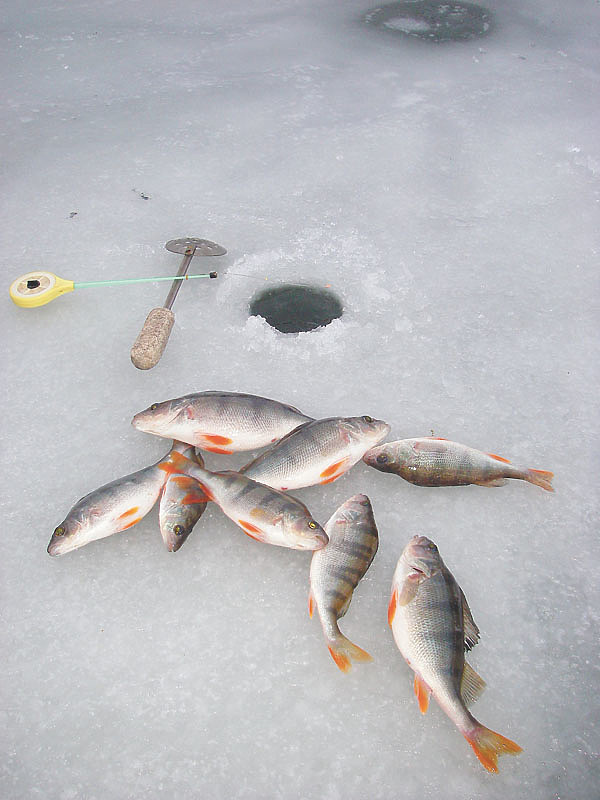 Изображение Фото:: Анатолий Маилков. 