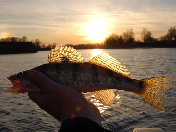 Изображение Фото: Яншевского Андрея. 