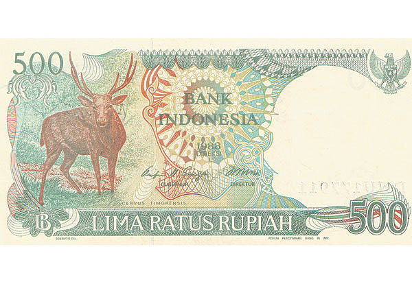 Изображение Фото автора. 