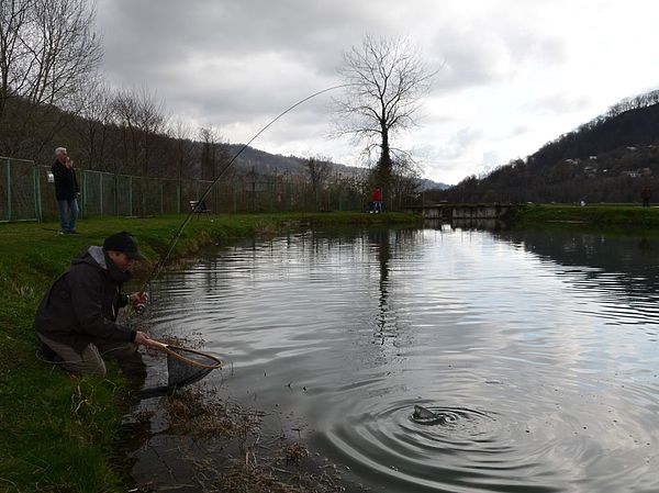 Изображение Подсачек в завершающей стадии вываживания очень даже пригодится. Фото: Геннадий Шеляг. 
