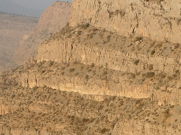 Изображение На стенах этих каньонов образуются небольшие террасы с альпийской растительностью, где любят пастись мархуры.  ФОТО: Олим Назаров 