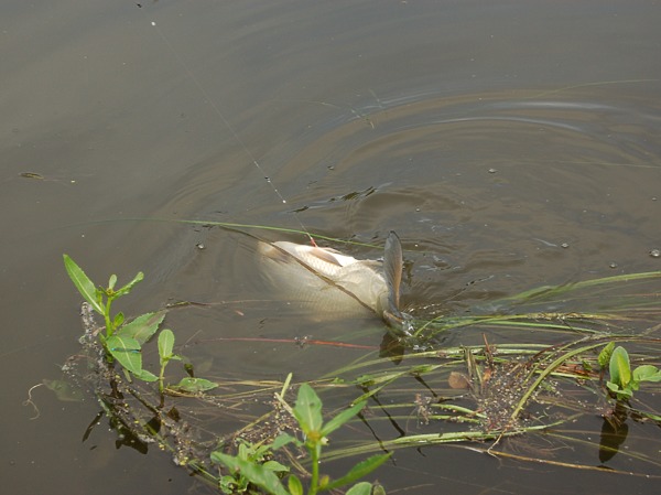 Изображение Фото: Яншевского Андрея. 