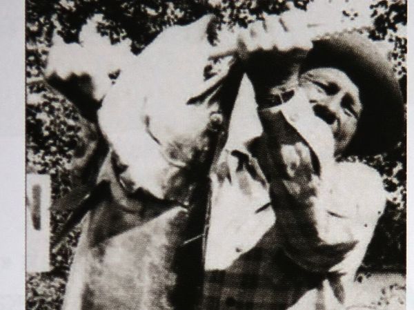 Изображение Маскинонг весом 30,6 кг, длина 153 см, обхват 85 см. Автор К. Джонсон.