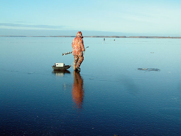 Изображение Ширина Чебоксарского водохранилища до 16 км. Блуждая без направления, нагуляешься от берега до берега. Фото: Токарева Александра.