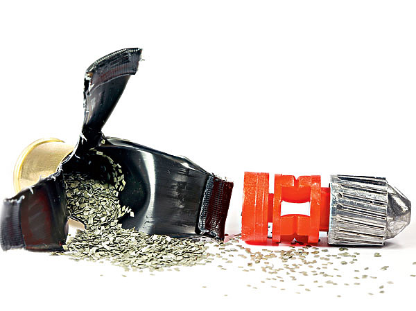 Изображение ФОТО: SHUTTERSTOCK 