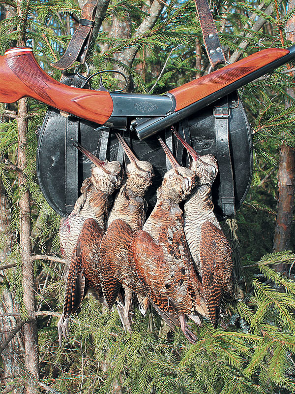 Изображение Фото автора. 