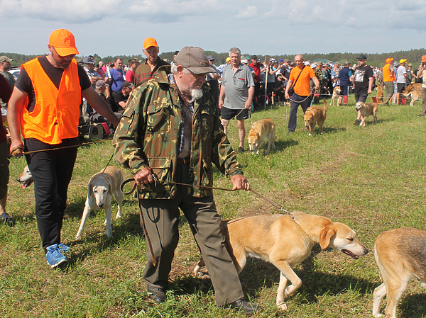Изображение фото: Сергея Фокина