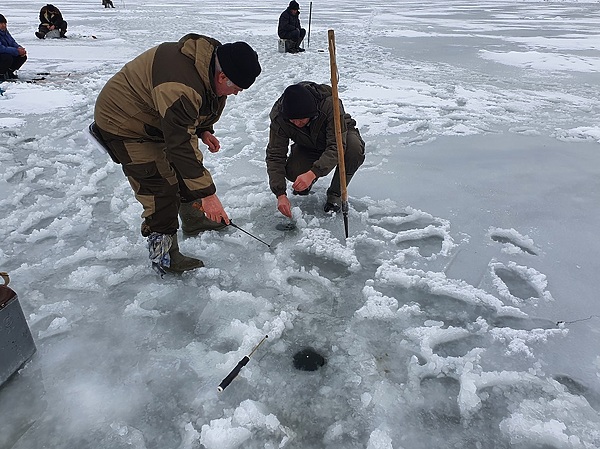 Изображение Вываживание с тонкой леской – очень ответственный процесс. Фото: Шеляга Геннадия.