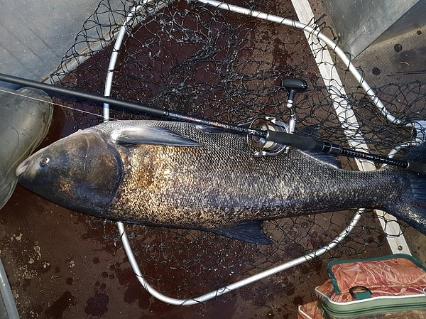 Изображение Фото: Коломийца Алексея. 