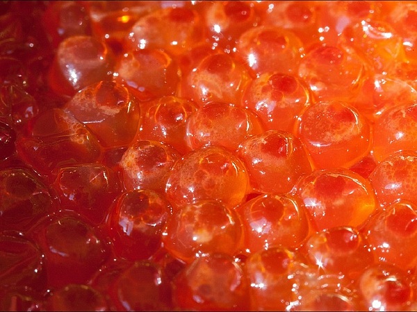 Изображение Фото: bfoto.ru. 