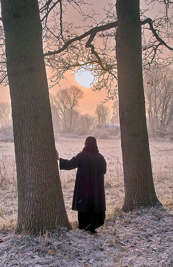 Изображение ФОТО SHUTTERSTOCK 