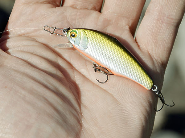 Изображение Один из самых уловистых воблеров для ловли в горных реках. Фото: Шеляга Геннадия.