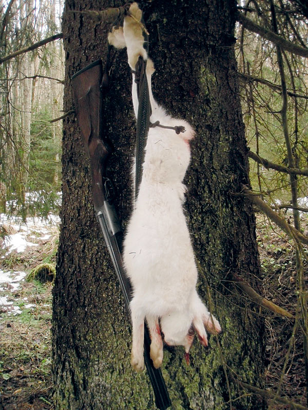 Изображение Фото автора.