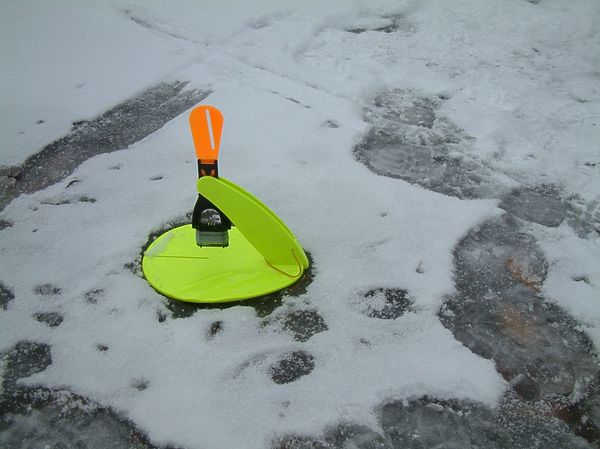 Изображение Фото: Александр Токарев.