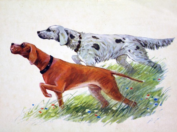 Изображение фото: Fotolia.com