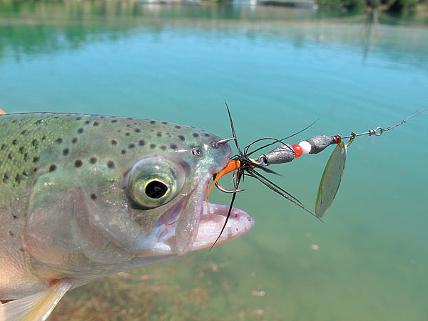 Изображение Вертушки подойдут любые, лишь бы были с сердечником и оперением тройника. Фото: Алексей Коломиец.