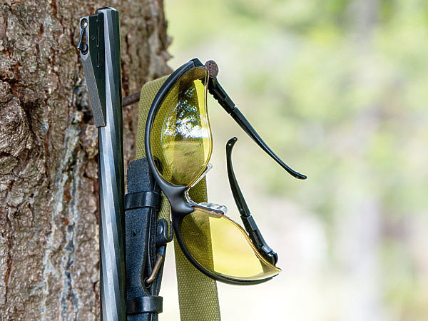 Изображение Фото: shutterstock 