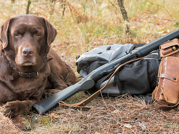 Изображение Неприхотливое ружье — хороший помощник на охоте. ФОТО: SHUTTERSTOCK