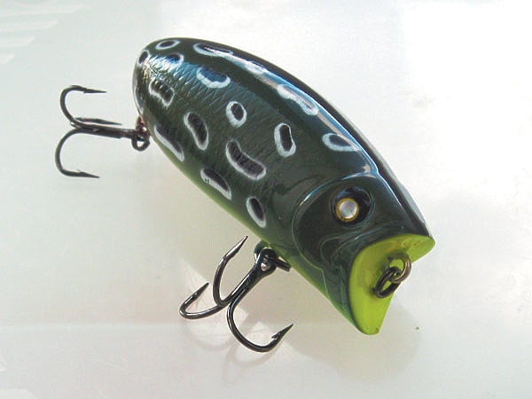 Изображение Фото: Токарева Александра. 