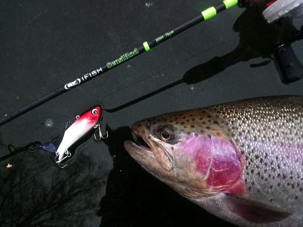 Изображение Все лососевые неравнодушны к красному цвету и их оттенкам. Даже если на вашей приманке нет алого цвета, его элементы нужно нарисовать и будет счастье. Фото: Евгений Кузнецов.