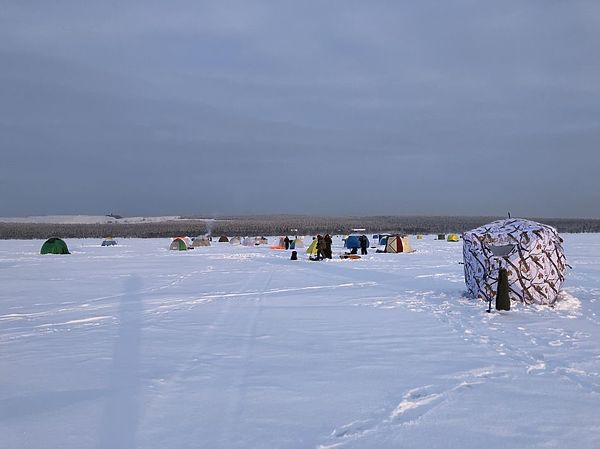 Изображение Ловлю корюшки без преувеличения можно назвать самым массовым занятием мурманских рыбаков. Фото: Геннадий Шеляг.