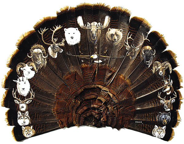 Изображение В США существует традиция рисовать на крупных перьях изображения диких животных, в том числе и на полном хвостовом оперении дикой индейки. 