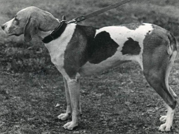 Изображение фото из архива автора 