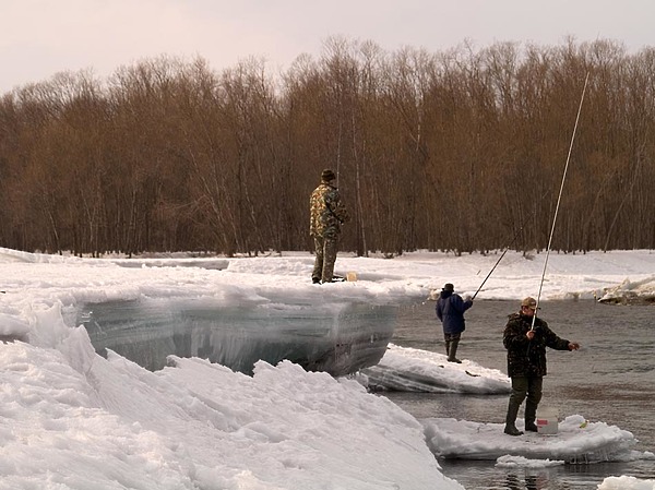 Изображение фото: Fotolia.com 