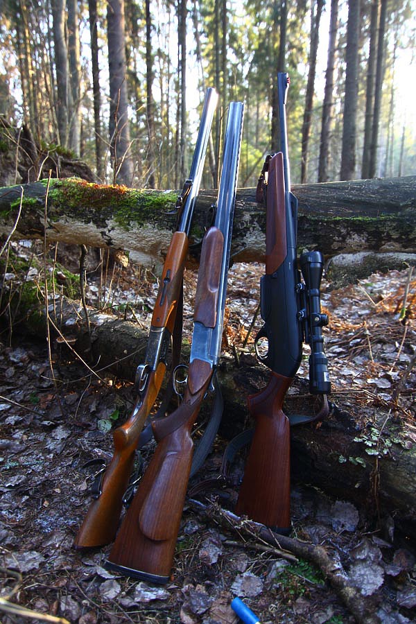 Изображение фото: Семина Михаила