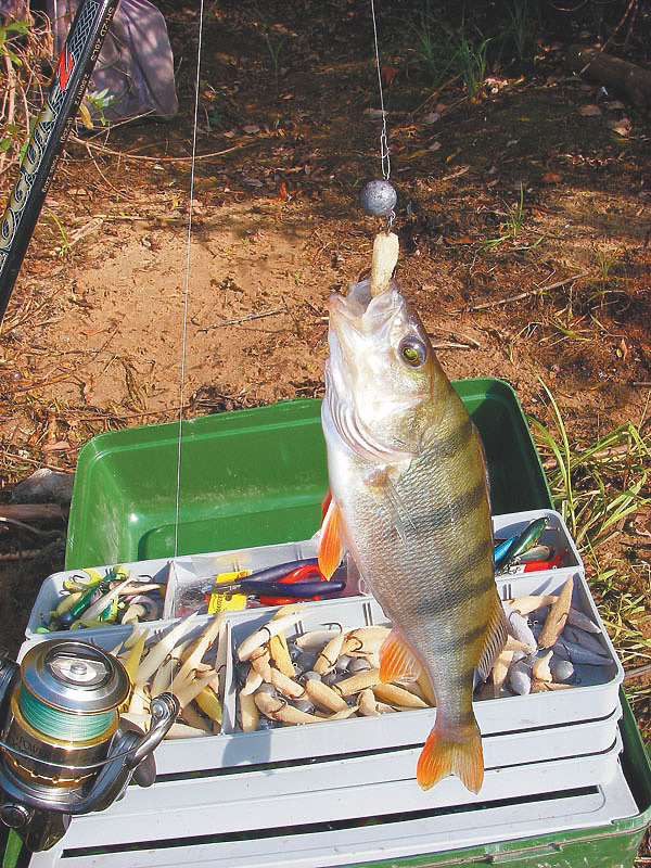Изображение Фото: Анатолий Маилков.