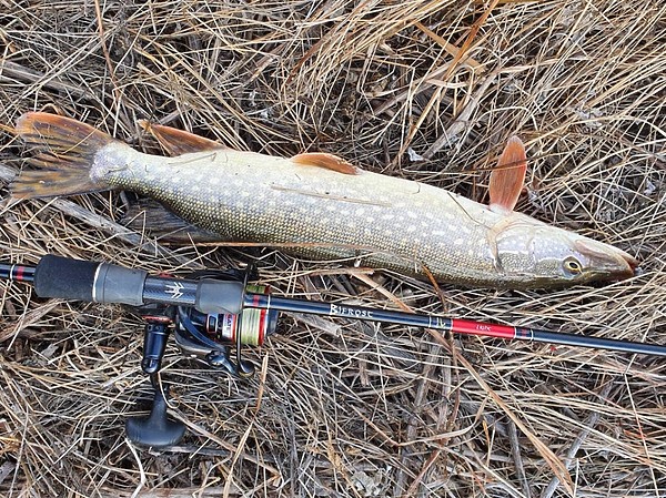Изображение Фото: Коломийца Алексея. 
