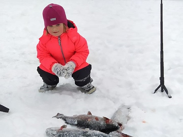 Изображение Фото: ВНИИПРХ. 