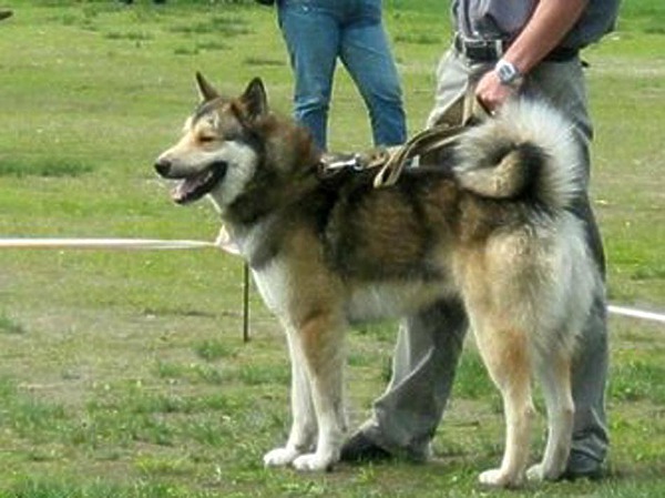 Изображение фотографии предоставлены автором