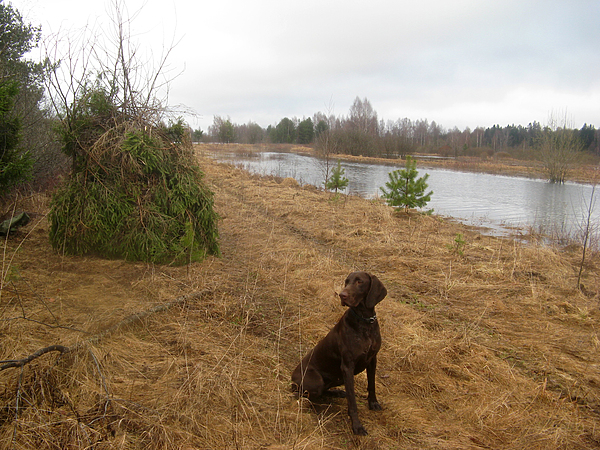 Изображение фото: Михаила Семина