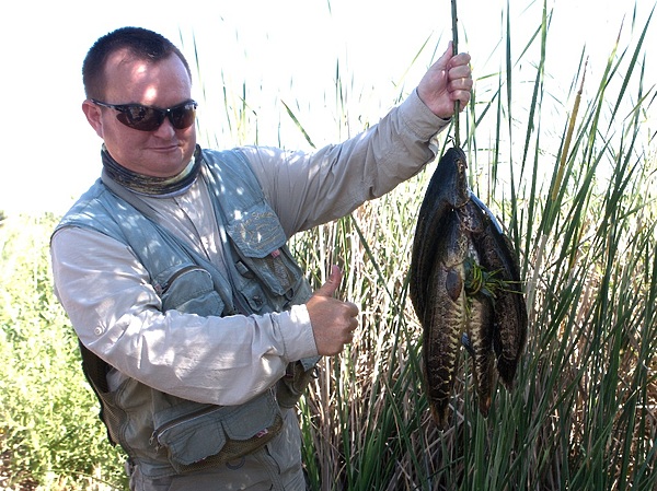 Изображение Где прессинг рыбацкий большой, малышня ловится чаще всего, а мудрые трофеи осторожничают. Фото: Кузнецова Евгения.